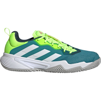 Chaussure tennis homme terre battue sales