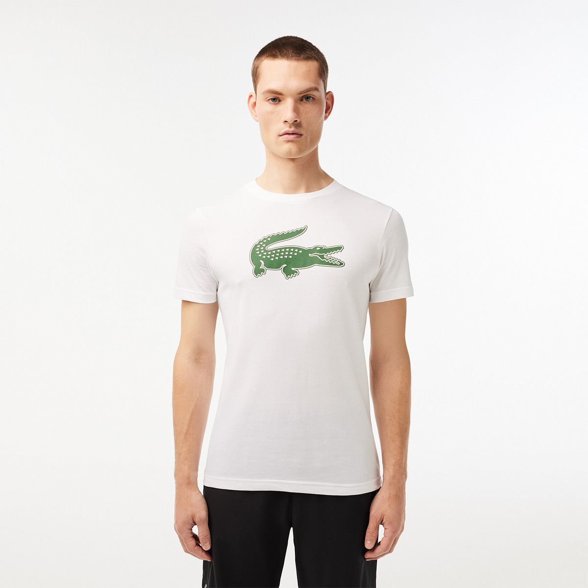 Tee shirt lacoste gris 2025