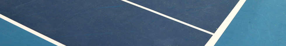 Juan-Martin DEL POTRO